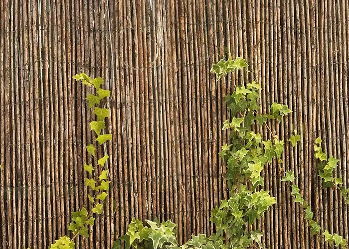 בית הארחה Cantinho Da Avo Mifa ליסבון